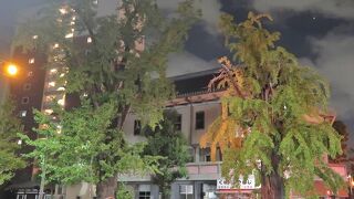 10月夜空背景、足元にぎんなん