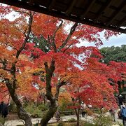 本堂にあがって紅葉鑑賞