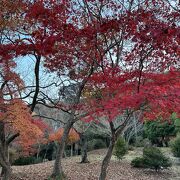 亀山地区の公園は紅葉鑑賞が楽しめる