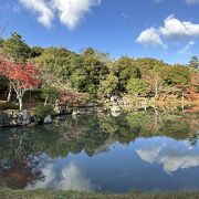 国の特別名勝の庭園