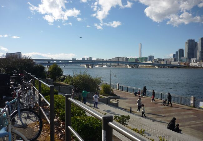 埋め立て地の海浜公園です。