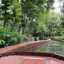 アマゾンリバークエストはやや子供騙し（個人の感想）