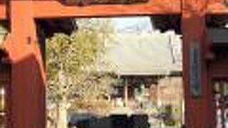 大きなお寺です