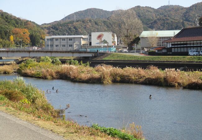 海鵜？の姿も見られました。