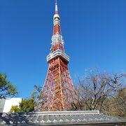 東京タワーが見える日本庭園と豆腐会席