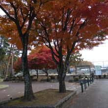 紅葉の花薪公園