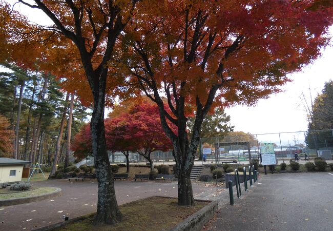 花蒔公園