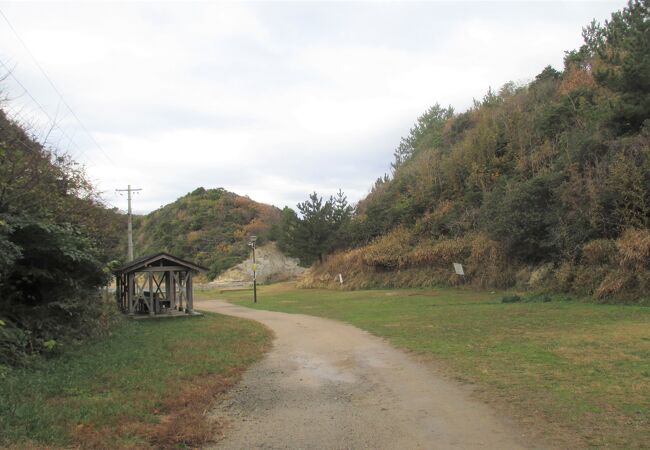 フリーテントエリヤのみです。