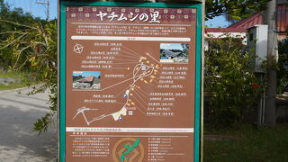 街中とは違う品が安い