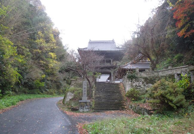 立派な山門があります。