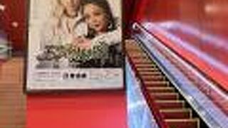 宝塚星組「王家に捧ぐ歌」観劇