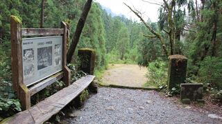 縄文杉トレッキングの途上に