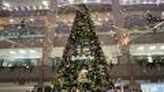 今年のランドマークプラザのクリスマスツリーはハリーポッター