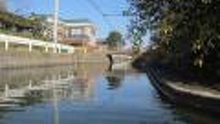 こたつ船が行き交う