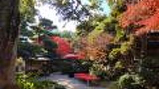 一昔前の金持ち・豪商の建てた典型的な和風庭園、入場無料