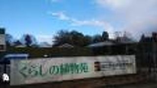 国立歴史民俗博物館 くらしの植物苑