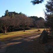 屋敷に映えるよく手入れされた庭園