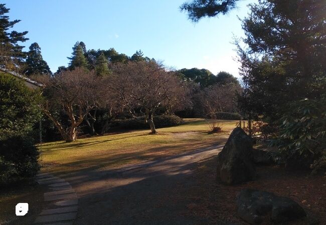 さくら庭園