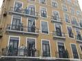 Fresque des Lyonnais Cerebres