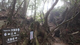 太鼓岩コースのゴールにある花崗岩の巨石