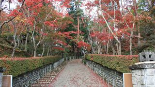 紅葉の松雲山荘