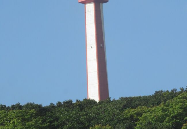 背の高い記念塔です