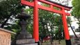 伏見稲荷大社とは全く違う場所！