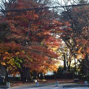 那須塩原市で探した紅葉の名所