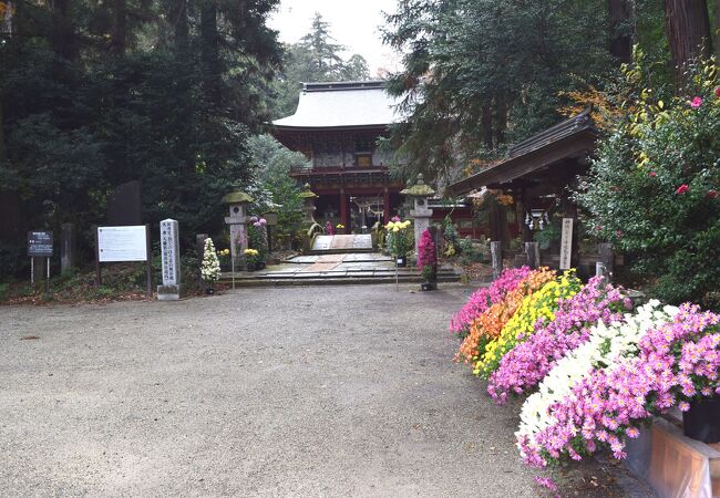 道の駅「那須与一の郷」の隣が那須神社となっていて社殿は江戸時代の創建で重要文化財です