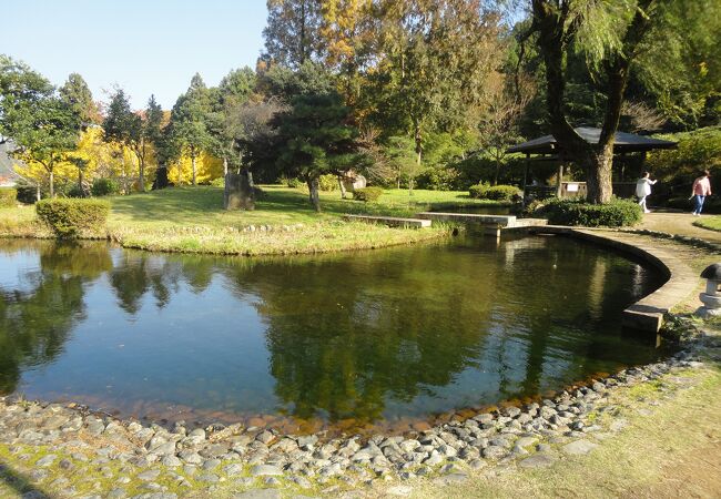 若狭瓜割名水公園