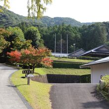 敷地内の風景