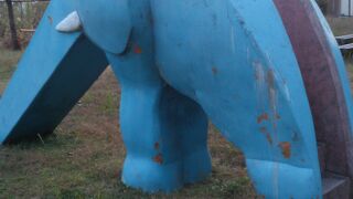 そうさんが可愛いです