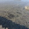 見飽きない海岸湧水