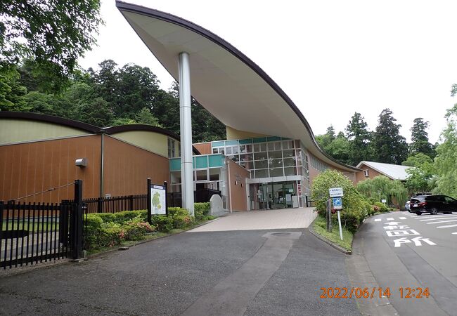 東北大学植物園