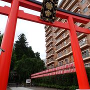 さすがに国宝、広くて大きな神社です