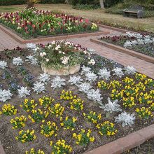 花も咲いてます