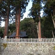杉の木が立派な神社。