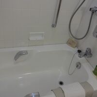 ちょっと古めですが、掃除は完璧