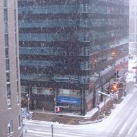 窓からの眺望もバッチでした！