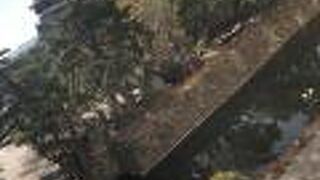 イルミネーションが映る