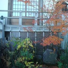 紅葉（12月撮影）