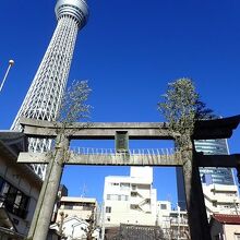鳥居のあたりから