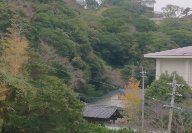 道の駅 昆虫の里たびら 