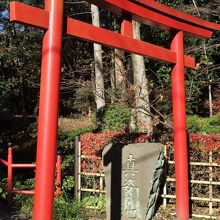 真姿の池に建つ鳥居