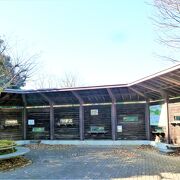 長浜公園;野鳥観察小屋から汽水池を眺めると