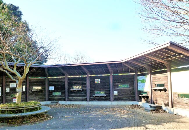 長浜公園;野鳥観察小屋から汽水池を眺めると