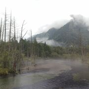 雨の日のがより神秘的かも