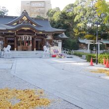 神社境内。