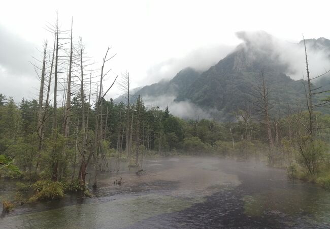 雨の日のがより神秘的かも