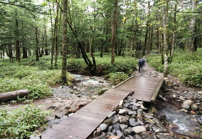見どころは岳沢湿原
